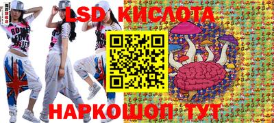 прущие грибы Дубна