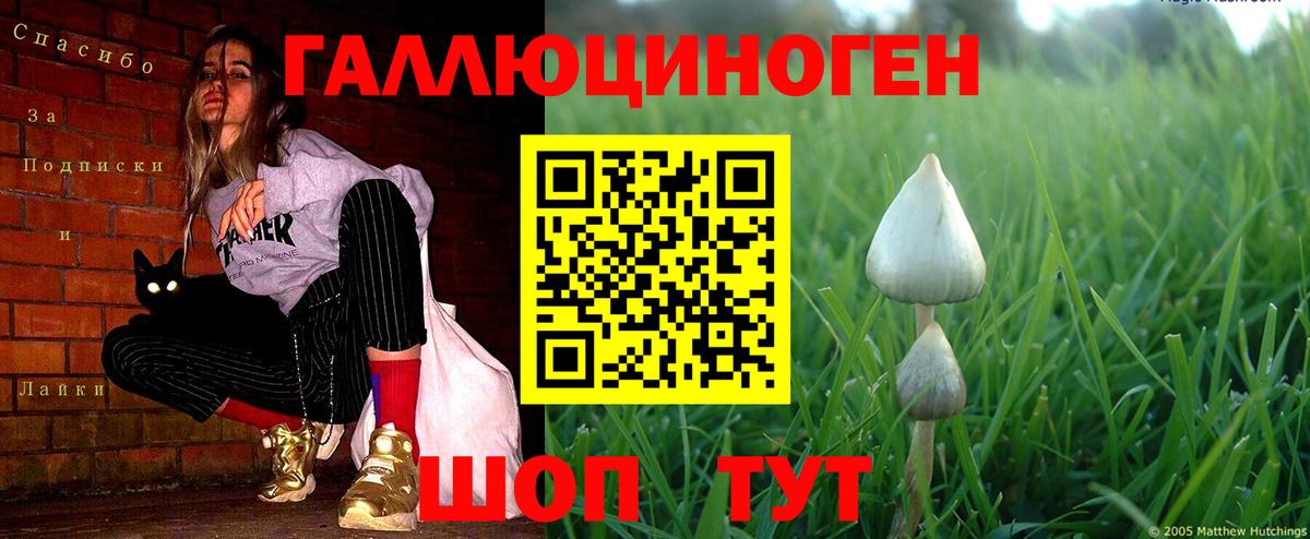 Люберцы  Галлюциногенные грибы мицелий  продажа наркотиков  Вход с VPN 
